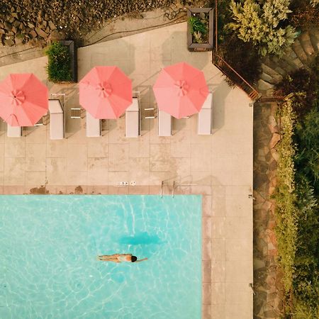 Sagecliffe Resort & Spa George المظهر الخارجي الصورة